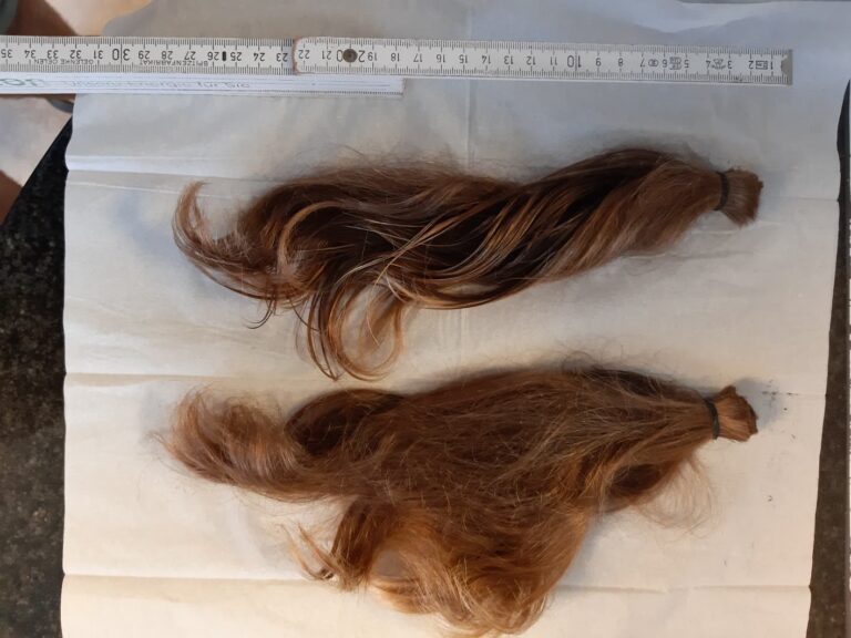 WhatsApp Bild 2025-10-27 um 12.19.13_b4a26ebc